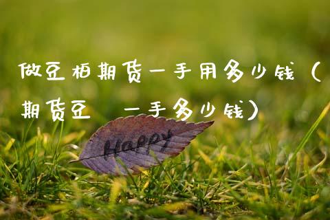 做豆柏期货一手用多少钱（期货豆粨一手多少钱）_https://wap.letulww.com_融资租赁_第1张