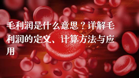 毛利润是什么意思？详解毛利润的定义、计算方法与应用_https://wap.letulww.com_投资管理_第1张