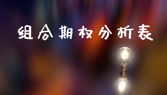 组合期权分析表_https://wap.letulww.com_融资租赁_第1张