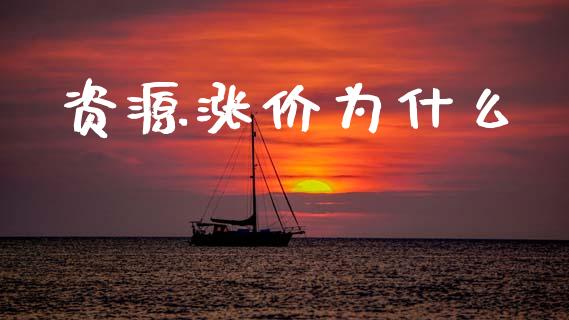 资源涨价为什么_https://wap.letulww.com_投资管理_第1张