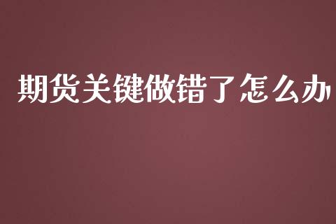 期货关键做错了怎么办_https://wap.letulww.com_投资策略_第1张