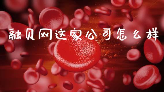 融贝网这家公司怎么样_https://wap.letulww.com_外汇交易_第1张