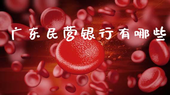 广东民营银行有哪些_https://wap.letulww.com_外汇交易_第1张
