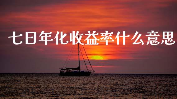 七日年化收益率什么意思_https://wap.letulww.com_融资租赁_第1张