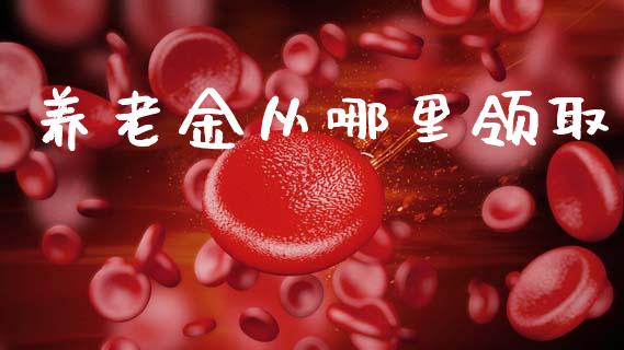 养老金从哪里领取_https://wap.letulww.com_外汇交易_第1张