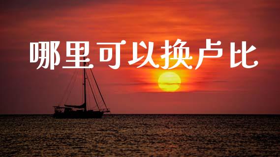哪里可以换卢比_https://wap.letulww.com_投资管理_第1张