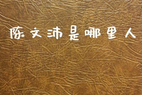 陈文沛是哪里人_https://wap.letulww.com_投资管理_第1张