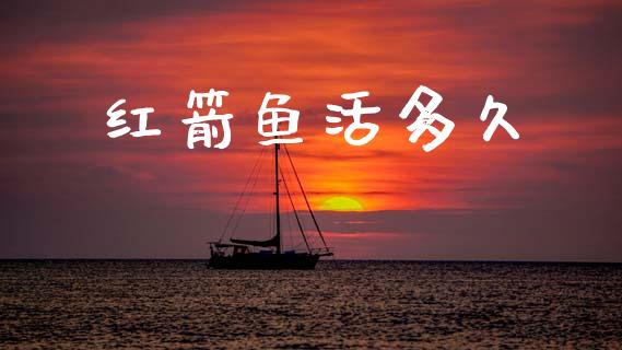 红箭鱼活多久_https://wap.letulww.com_投资策略_第1张