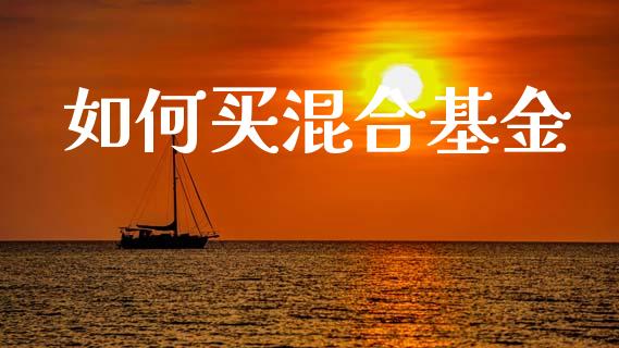 如何买混合基金_https://wap.letulww.com_外汇交易_第1张
