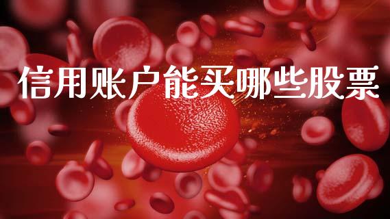 信用账户能买哪些股票_https://wap.letulww.com_投资管理_第1张