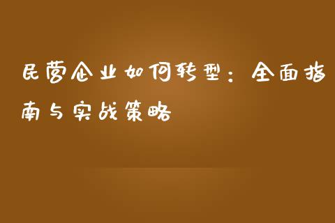民营企业如何转型：全面指南与实战策略_https://wap.letulww.com_投资策略_第1张