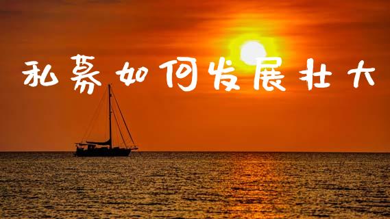 私募如何发展壮大_https://wap.letulww.com_融资租赁_第1张