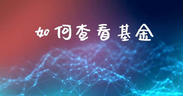 如何查看基金_https://wap.letulww.com_投资策略_第1张