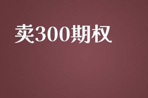 卖300期权_https://wap.letulww.com_外汇交易_第1张