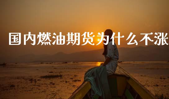 国内燃油期货为什么不涨_https://wap.letulww.com_融资租赁_第1张