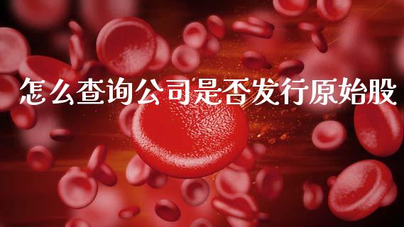 怎么查询公司是否发行原始股_https://wap.letulww.com_融资租赁_第1张