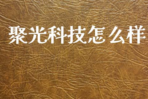 聚光科技怎么样_https://wap.letulww.com_投资策略_第1张