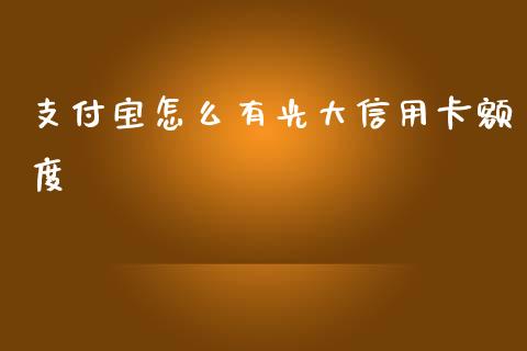 支付宝怎么有光大信用卡额度_https://wap.letulww.com_投资策略_第1张