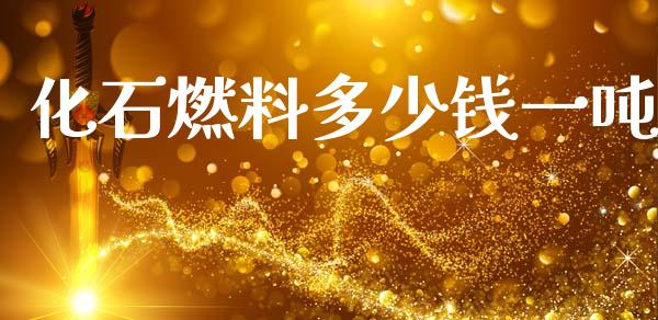 化石燃料多少钱一吨_https://wap.letulww.com_投资管理_第1张
