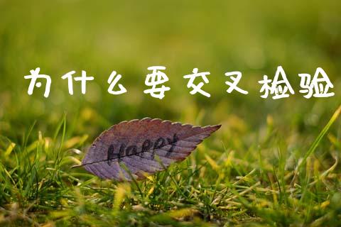 为什么要交叉检验_https://wap.letulww.com_投资管理_第1张