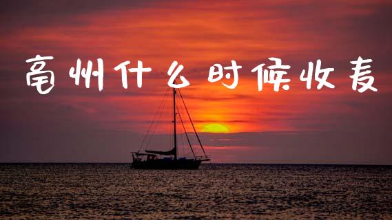 亳州什么时候收麦_https://wap.letulww.com_投资策略_第1张