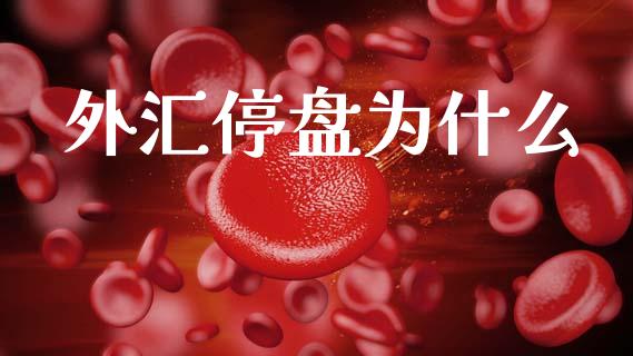 外汇停盘为什么_https://wap.letulww.com_融资租赁_第1张