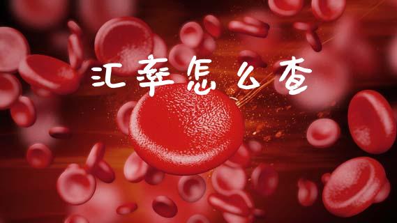 汇率怎么查_https://wap.letulww.com_投资策略_第1张