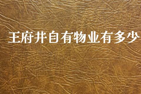 王府井自有物业有多少_https://wap.letulww.com_融资租赁_第1张