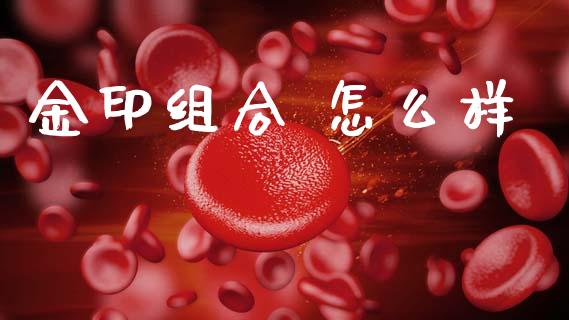 金印组合 怎么样_https://wap.letulww.com_投资策略_第1张