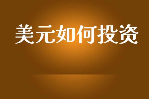 美元如何投资_https://wap.letulww.com_融资租赁_第1张