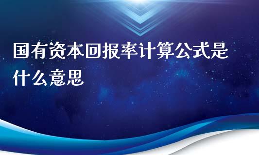 国有资本回报率计算公式是什么意思_https://wap.letulww.com_投资策略_第1张