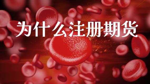 为什么注册期货_https://wap.letulww.com_外汇交易_第1张