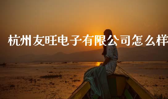 杭州友旺电子有限公司怎么样_https://wap.letulww.com_融资租赁_第1张