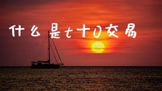 什么是t十0交易_https://wap.letulww.com_外汇交易_第1张