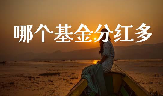 哪个基金分红多_https://wap.letulww.com_外汇交易_第1张