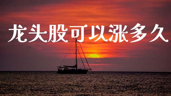 龙头股可以涨多久_https://wap.letulww.com_投资管理_第1张