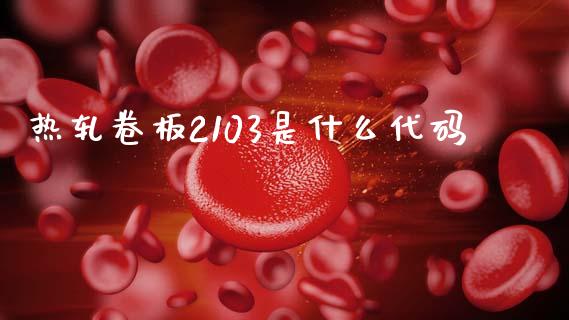 热轧卷板2103是什么代码_https://wap.letulww.com_外汇交易_第1张