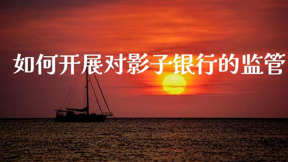 如何开展对影子银行的监管_https://wap.letulww.com_投资策略_第1张