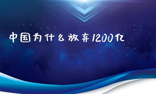 中国为什么放弃1200亿_https://wap.letulww.com_投资策略_第1张