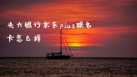 光大银行京东plus联名卡怎么样_https://wap.letulww.com_投资管理_第1张