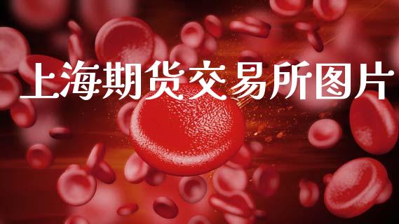 上海期货交易所图片_https://wap.letulww.com_投资策略_第1张