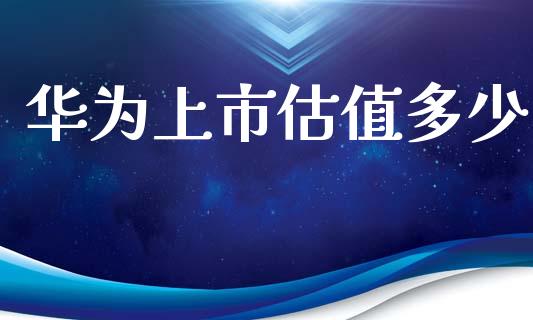 华为上市估值多少_https://wap.letulww.com_投资管理_第1张