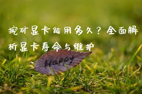 挖矿显卡能用多久？全面解析显卡寿命与维护_https://wap.letulww.com_投资管理_第1张