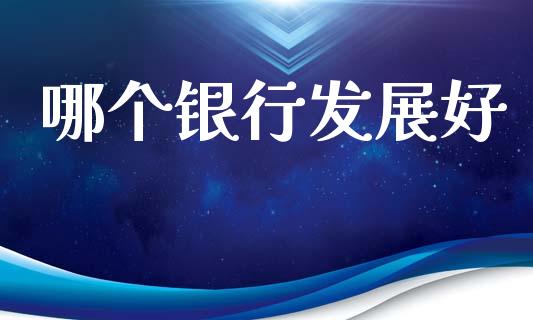 哪个银行发展好_https://wap.letulww.com_投资管理_第1张