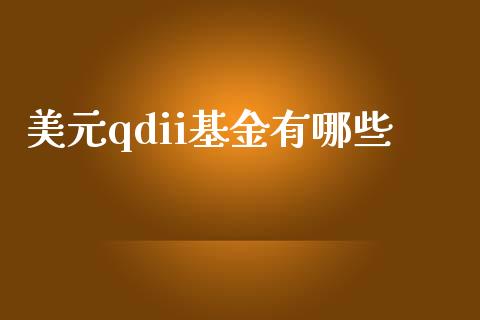 美元qdii基金有哪些_https://wap.letulww.com_投资策略_第1张
