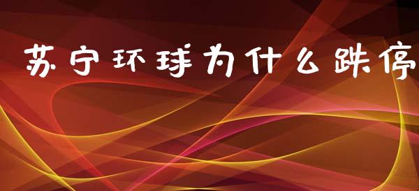 苏宁环球为什么跌停_https://wap.letulww.com_投资管理_第1张