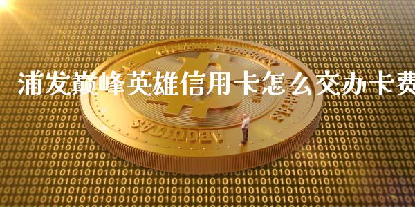 浦发巅峰英雄信用卡怎么交办卡费_https://wap.letulww.com_投资策略_第1张