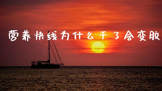 营养快线为什么干了会变胶_https://wap.letulww.com_外汇交易_第1张