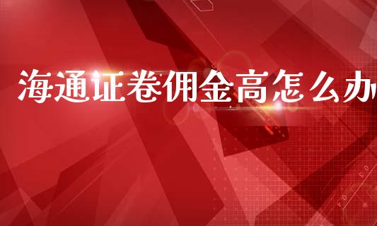 海通证卷佣金高怎么办_https://wap.letulww.com_外汇交易_第1张