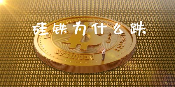 硅铁为什么跌_投资管理_第1张_外汇交易_投资策略_融资租赁_投资管理 硅铁为什么跌_https://wap.letulww.com_投资管理_第1张